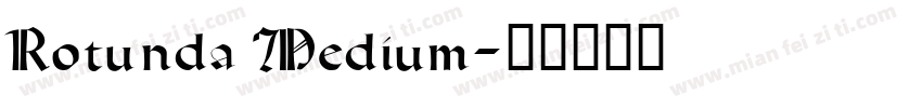 Rotunda Medium字体转换